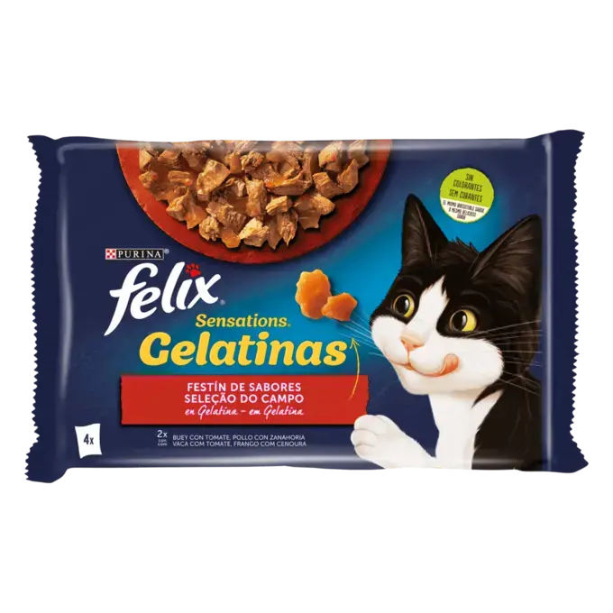 Felix Sachet Nourriture humide pour chats 4 pièce