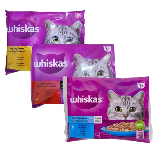 Whiskas  délice de volaille en gelée sachet fraîcheur 4x100g