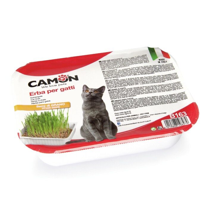 Camon – Herbe à Chats – BLÉ –