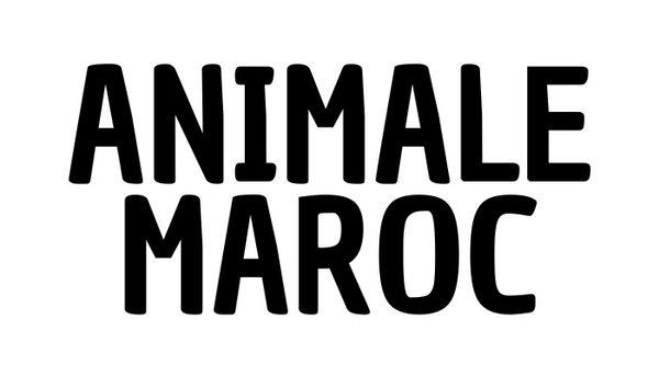 animalemaroc